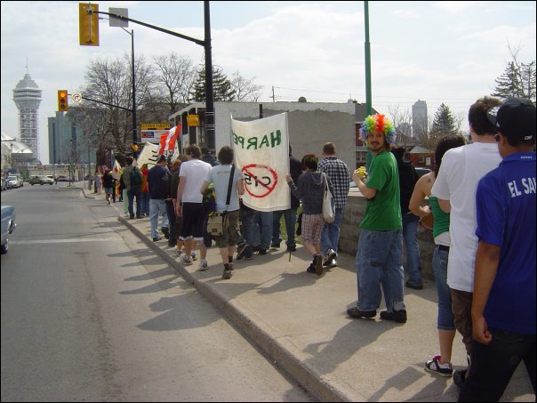 wendalg_photo12.jpg